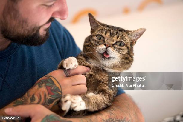 Lil Bub and Mike Bridavsky attend CatCon in Pasadena, California on August 13, 2017. The two-day event includes meet and greets with celebrities and...