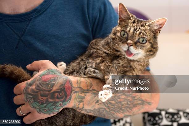 Celebrity cat, Lil Bub, at CatCon, a convention for cat lovers in Pasadena California on August 12, 2017. Lil Bub has a following of almost three...