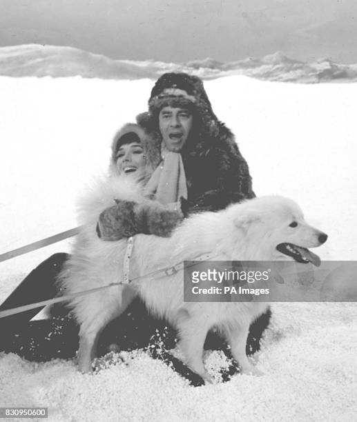 In Britain's warm spell, American comedian Jerry Lewis plays it cool, with new British star Jacqueline Pearce for company and a husky to give the...
