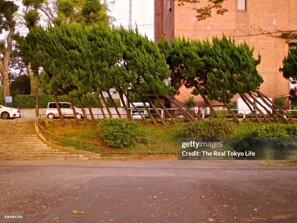 Strong wind in Tokyo