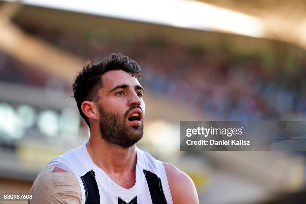 Steele Sidebottom of the Magpies looks on during the round 21 AFL match between Port Adelaide Power and the Collingwood Magpies at Adelaide Oval on...