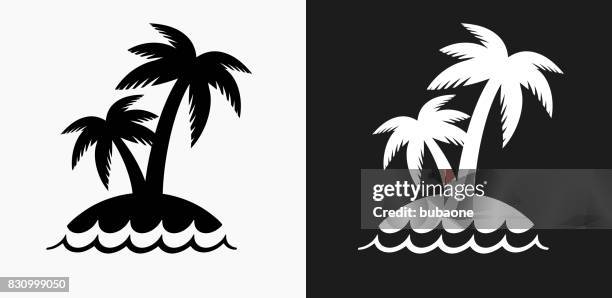 palm tree island icon on black and white vector backgrounds - palm tree clip art stock illustrations