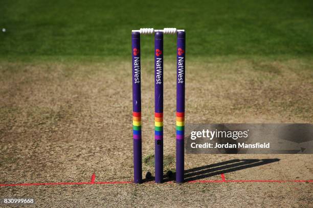 The rainbow stumps ahead of the start of the NatWest T20 Blast match between Surrey and Sussex Shark at The Kia Oval on August 13, 2017 in London,...