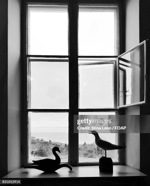 My Image 28