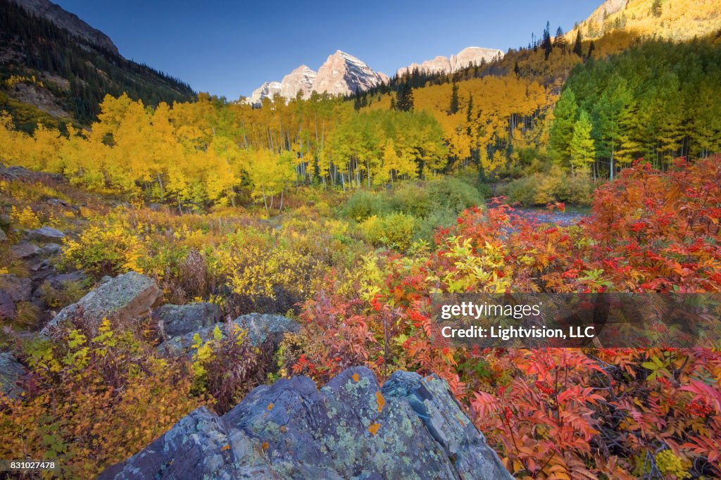 Aspen, Colorado