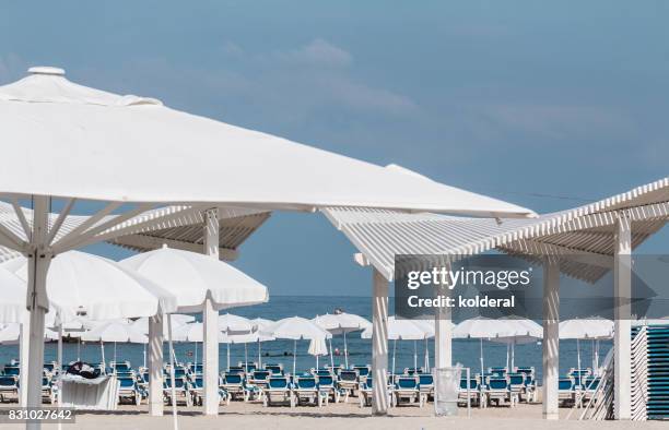 mediterranean beach at midday - tel aviv stock-fotos und bilder