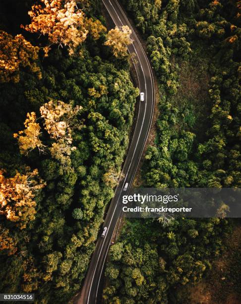 hohen winkel sicht auf die straße in australien im herbst - queensland australien stock-fotos und bilder