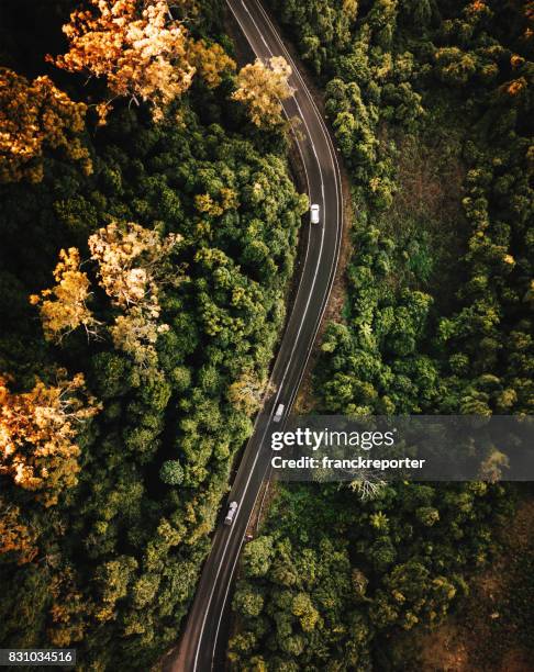 high angle view of the road in australia in autumn - road stock pictures, royalty-free photos & images