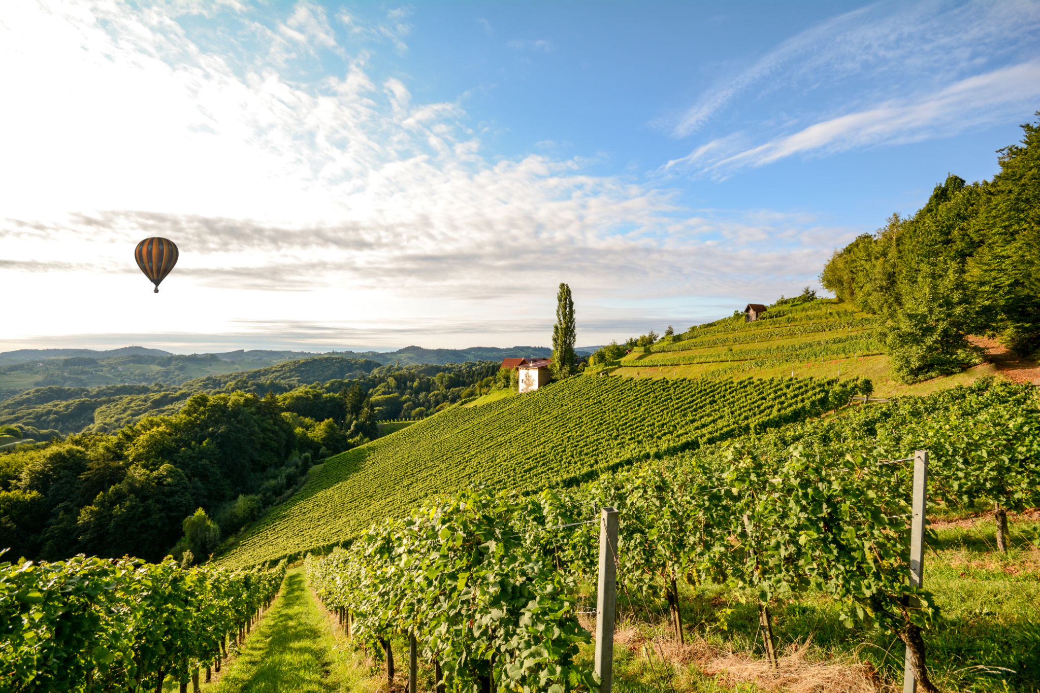 hot air balloon tuscany