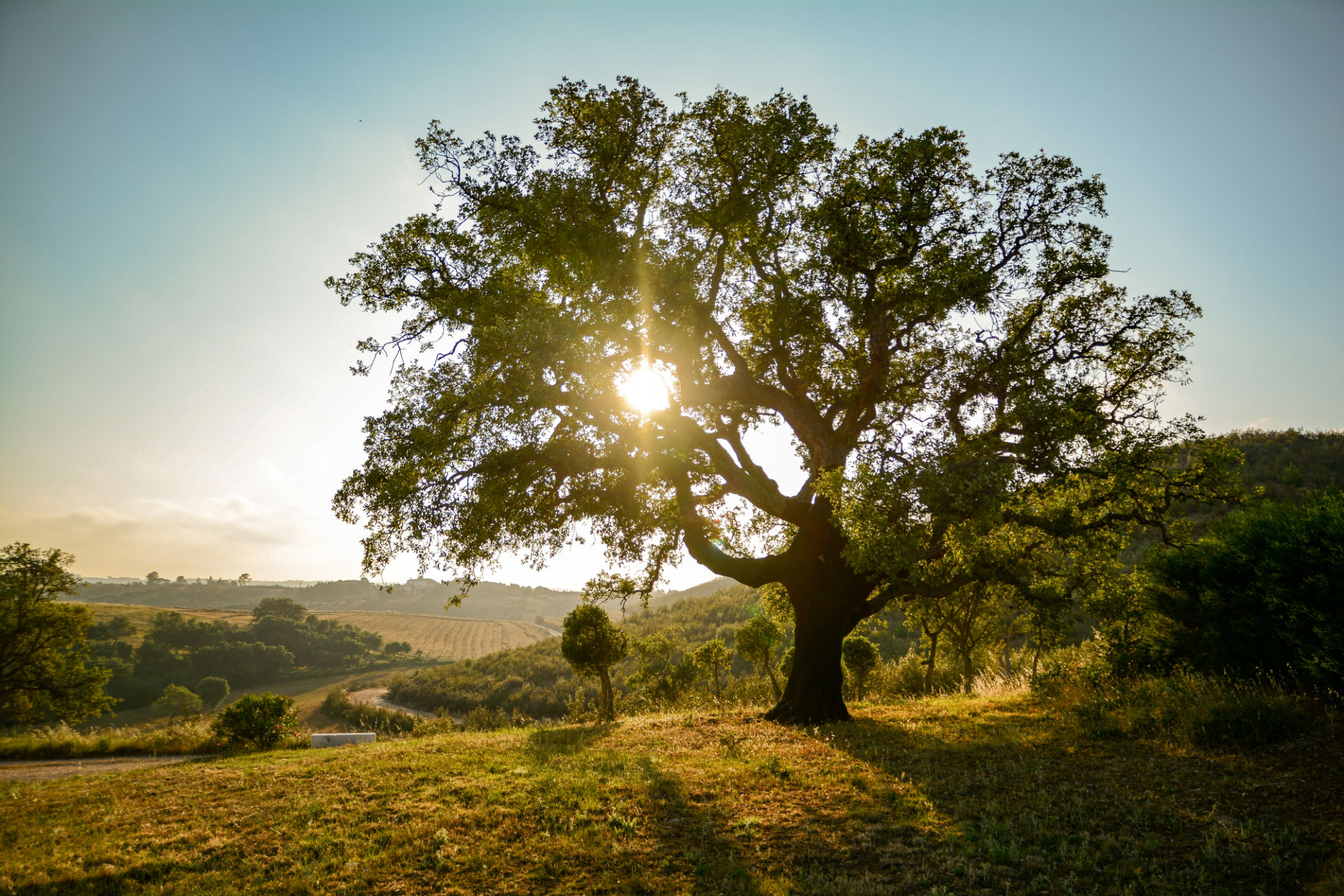 algarve landscape