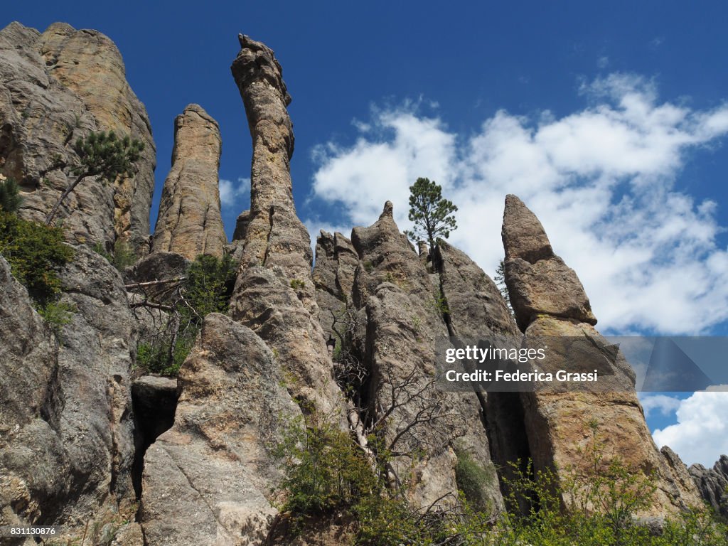 Granite Pinnacles, Custer State Park, South Dakota