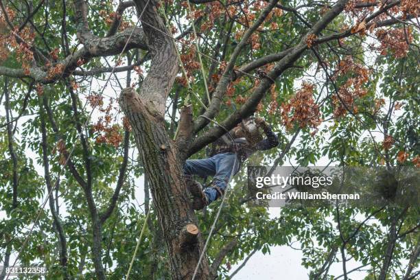 Dead Mans Rope Photos and Premium High Res Pictures - Getty Images