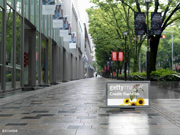 flat tv placed on omotesando street - omotesando tokyo stock pictures, royalty-free photos & images