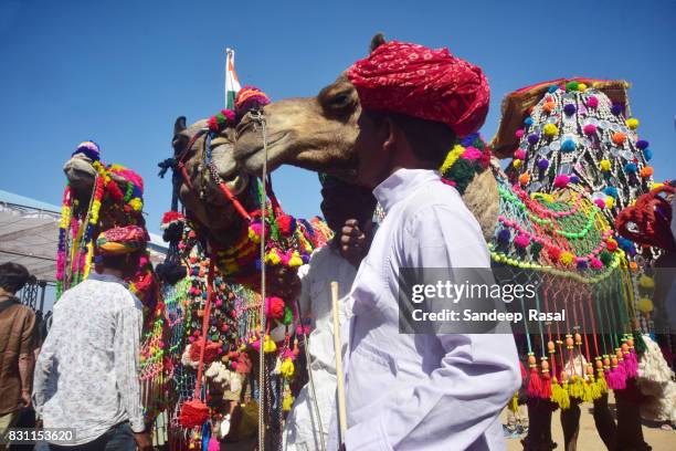 Bisham Rabari 502 A Rabari Stock Photos, High-Res Pictures, and Images - Getty Images