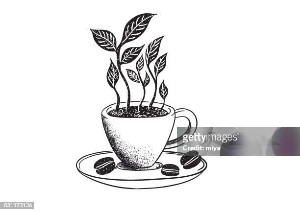 ilustraciones, imágenes clip art, dibujos animados e iconos de stock de café orgánico - granja ecológica