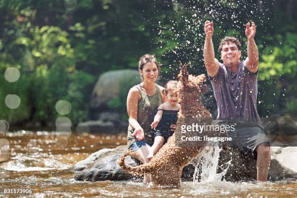 millennial parents - dog outdoors stock pictures, royalty-free photos & images