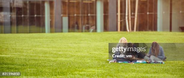 étudiants de l’université sur le campus - small group sitting in grass photos et images de collection