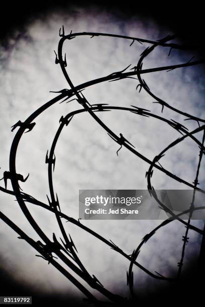 71 Tangled Wire Silhouette Stock Photos, High-Res Pictures, and Images ...