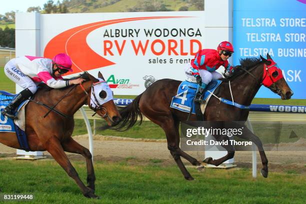 Baby Zara ridden by Brooke Sweeney wins the Eskimo Joe at Telstra Wodonga Gold Cup BM58 Handicap on August 14, 2017 in Wodonga, Australia.