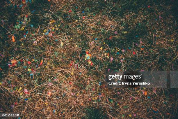 confetti on the grass at summer music festival - music festival grass stock pictures, royalty-free photos & images