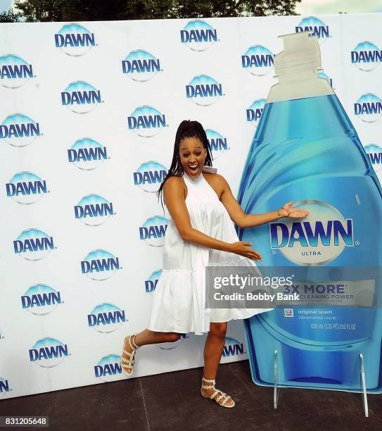 Tia Mowry hosts "Family Dinner with Dawn" inviting the town of Lambertville to dinner taking care of the nearly 6,000 dishes with one bottle of Dawn...