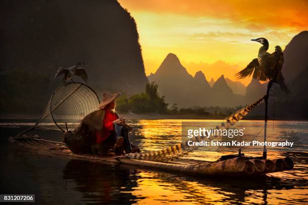cormorant fisherman on li river at sunset, yangshuo, china - cormorant stock pictures, royalty-free photos & images