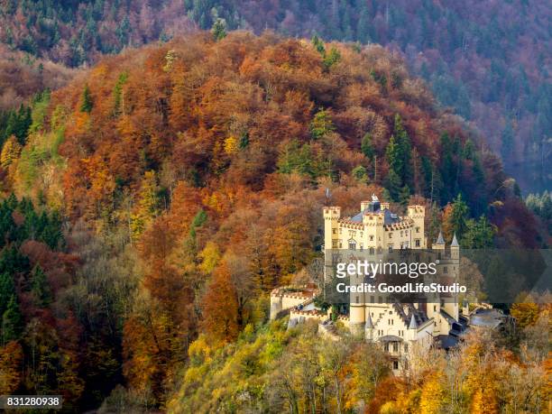 hohenschwangau castle - hohenschwangau castle stock pictures, royalty-free photos & images