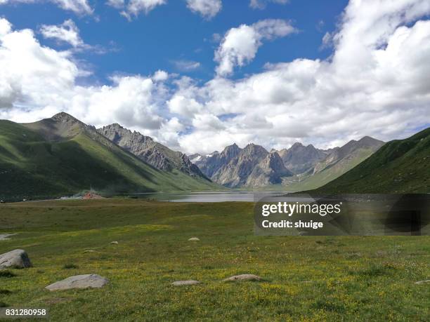 the natural scenery of the goo tibetan autonomous prefecture，nianbaoyuzhe mountain - vallée photos et images de collection