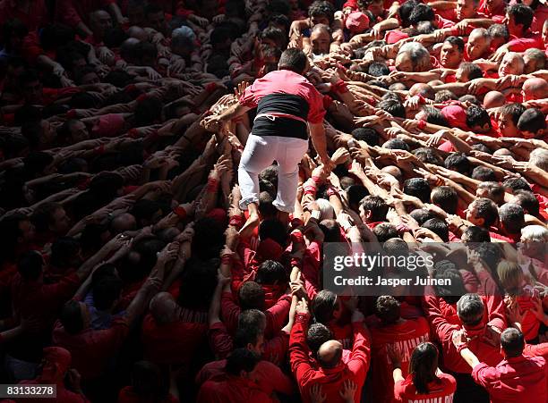 Casteller of the Colla Jove Xiquets de Tarragona 'colle' climbs up as the construction of a human tower begins, during the 22nd Tarragona Castells...