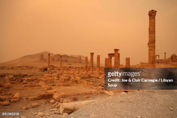 diocletian's camp, palmyra, syria. - palmyra stock pictures, royalty-free photos & images