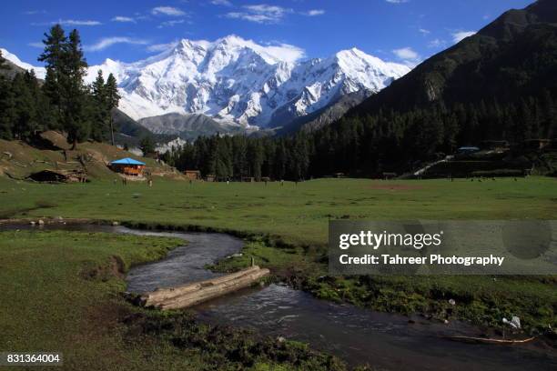 fairy meadows and nanga parbat - nanga parbat stock pictures, royalty-free photos & images