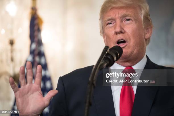 President Donald Trump makes a statement in the Diplomatic Room at the White House in Washington, DC, on August 14, 2017. US President Donald Trump...