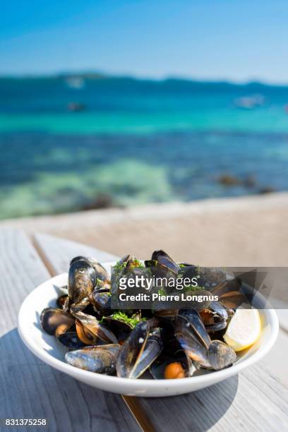 plate of mussels with the sound of iona in the background - isle of iona, inner hebrides, scotland - mexilhão imagens e fotografias de stock