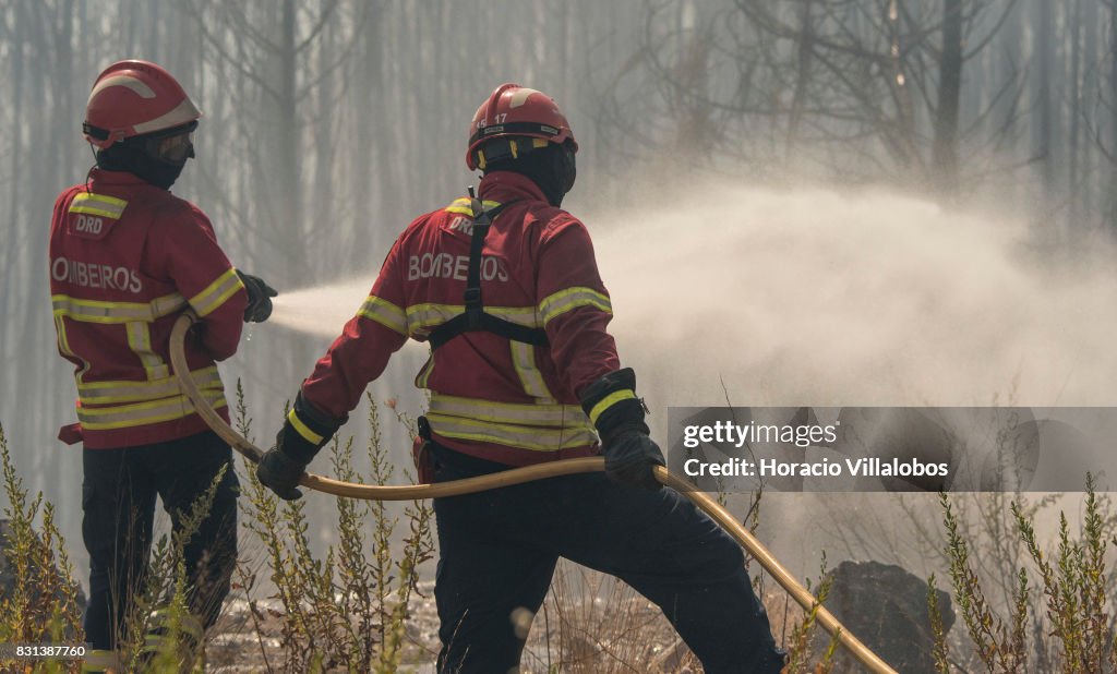Forest Fires In Portugal