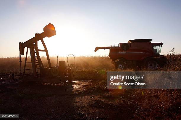 Joe Raben drives his combine past an oil well as he harvests corn on land he farms with his father and uncle October 4, 2008 near Carmi, Illinois. A...