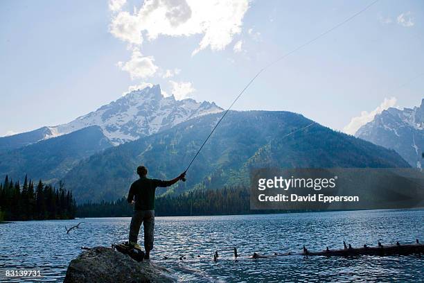 man fly fishing on jenny lake in wyoming - grand teton national park stock-fotos und bilder
