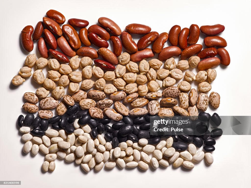 Different types of beans on white background.