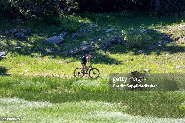 mountain bike durmitor nationalpark montenegro - sepp friedhuber stock-fotos und bilder