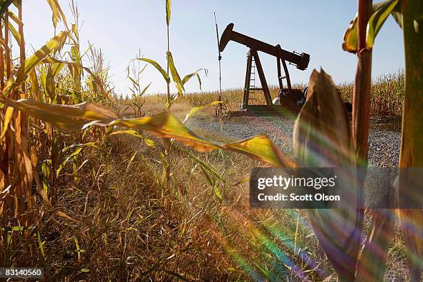 An oil well sits in the middle of a corn field on October 3, 2008 near Norris City, Illinois. Crude oil production in Illinois has been steadily...