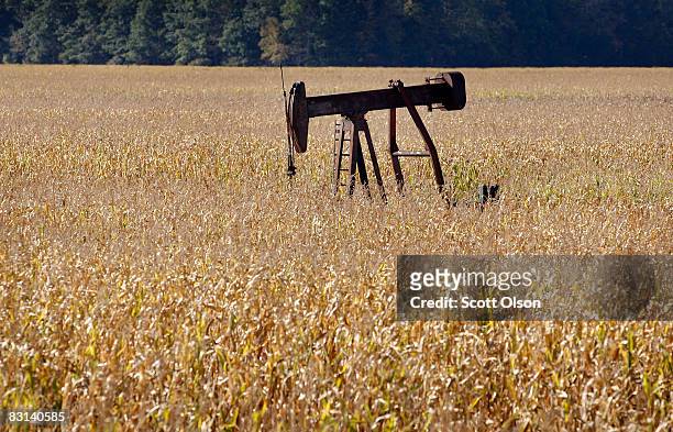 An oil well sits in the middle of a corn field on October 3, 2008 near Cottonwood, Illinois. Crude oil production in Illinois has been steadily...