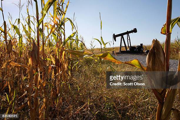 An oil well sits in the middle of a corn field on October 3, 2008 near Norris City, Illinois. Crude oil production in Illinois has been steadily...