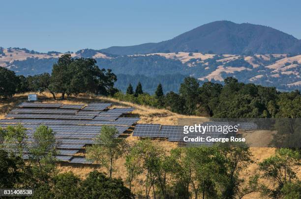 Hillside solar panel array at Jordan Vineyard & Winery is viewed on August 3 near Healdsburg, California. Following a record winter rainfall on the...