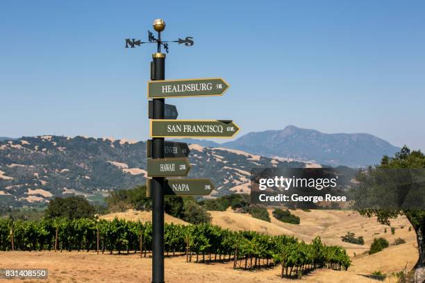 Directional sign at the top of a vineyard is viewed on August 3 near Healdsburg, California. Following a record winter rainfall on the North Coast,...