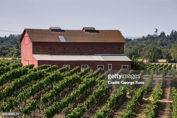Red barn and chardonnay vineyard at Sonoma-Cutrer Winery is viewed on August 3 near Santa Rosa, California. Following a record winter rainfall on the...