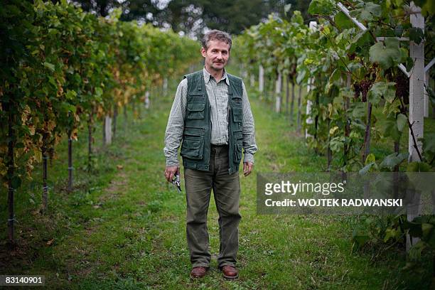 Picture taken on September 30, 2008 in Lazy near Cracow of Polish of wine producer and chief of the experimental wineyard of the Jagiellonian...