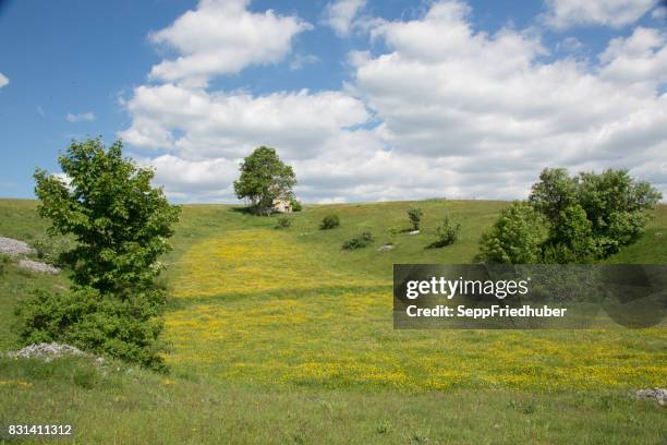 durmitor national park montenegro - dramatische landschaft stock pictures, royalty-free photos & images