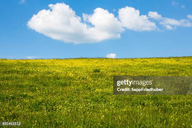 durmitor national park montenegro - dramatische landschaft stock pictures, royalty-free photos & images