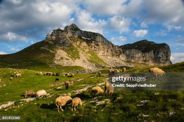 durmitor national park montenegro - durmitor montenegro stock pictures, royalty-free photos & images