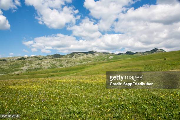 durmitor national park montenegro - dramatische landschaft stock pictures, royalty-free photos & images