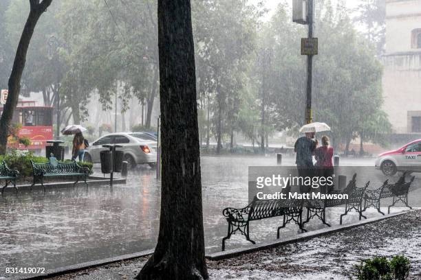 a young couple sharing an umbrella in heavy rain in coyoacán mexico city - torrential rain stock pictures, royalty-free photos & images